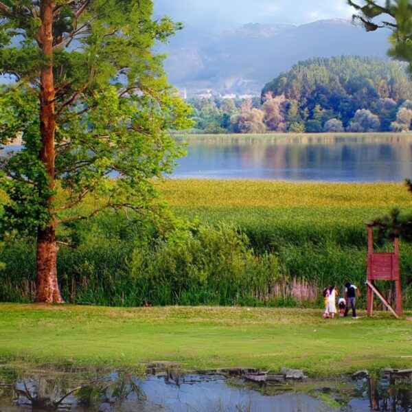 Görsel Boyutlandırma